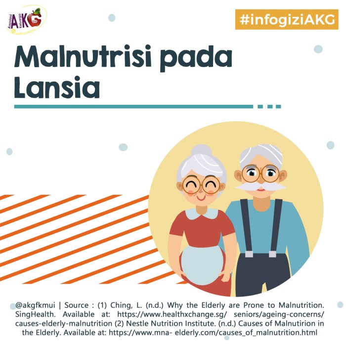 Perawatan pasien usia lanjut