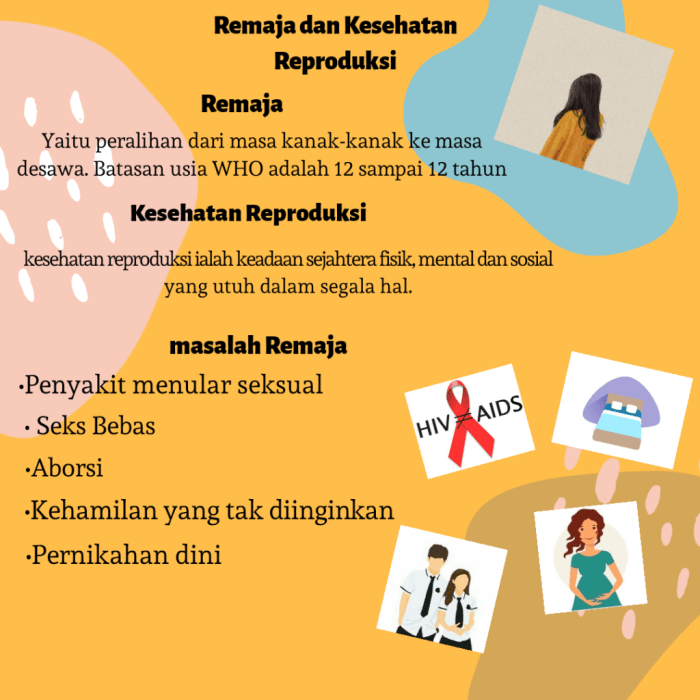 Kesehatan reproduksi dan seksual terbaru