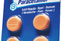 biogesic tablet biogesic tablet
