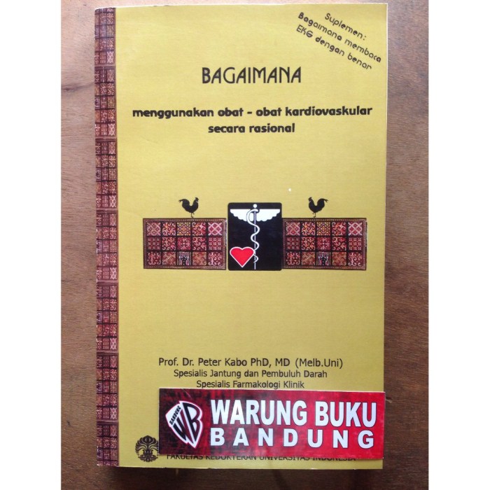 penggunaan obat rasional kebijakan implementasi