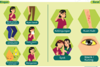 interaksi obat efek menguntungkan samping contoh