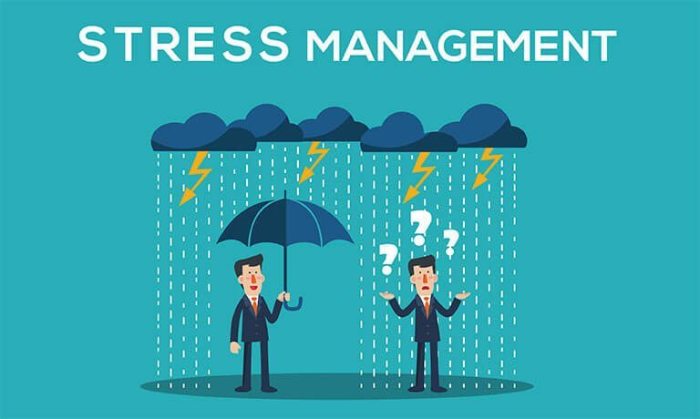 Manajemen stress untuk profesional
