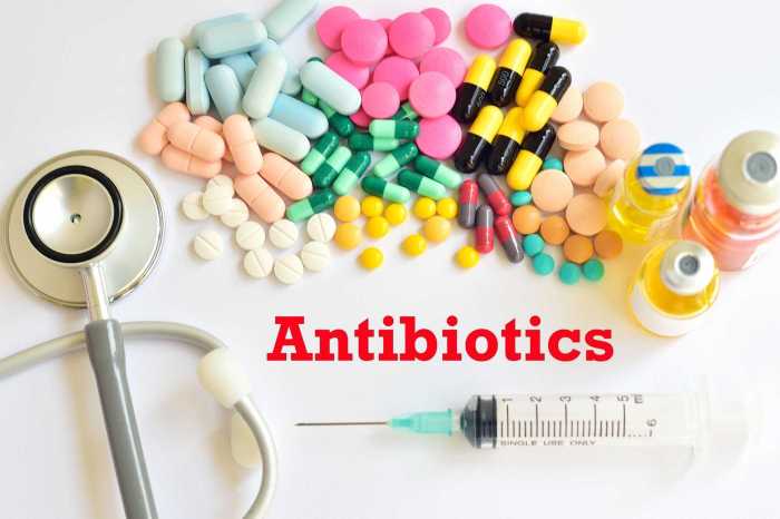 antibiotik sampai keliru mengenal worm parasitic antibiotic superbugs resistant ilustrasi Pemilihan dan penggunaan antibiotik terbaru
