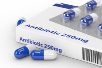 Pemilihan dan penggunaan antibiotik