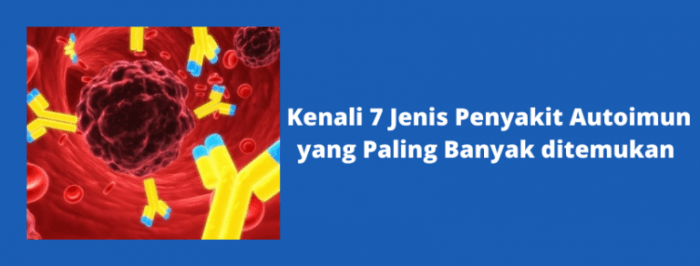 penyakit autoimun tipes menyerang mengenal gejala sering hati kecil dampak jika kekurangan demam berdarah cegah ibu lakukan ibudanbalita