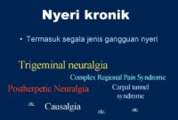 Manajemen nyeri kronis efektif nyeri algoritma manajemen