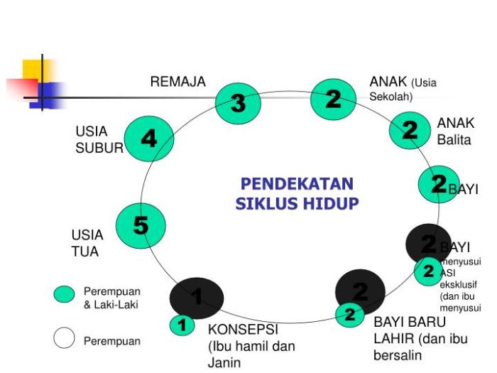 Kesehatan reproduksi dan seksual