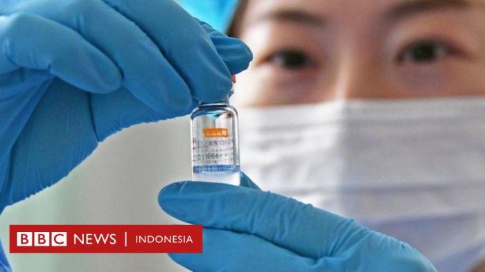 Vaksin sinovac sinopharm perbedaan merek