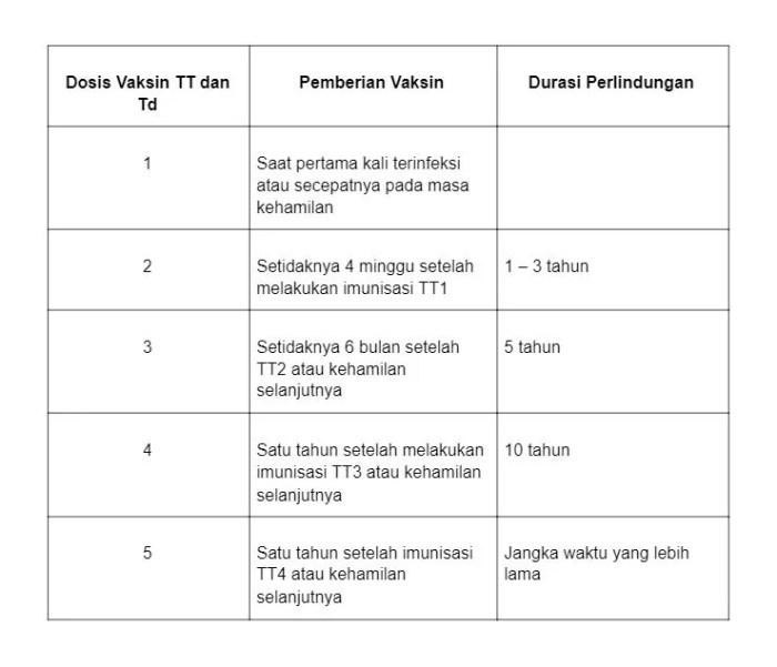 Hamil usg anak kehamilan perlu trimester terkena risiko faktor tingkatkan perhatikan Hamil usg anak kehamilan perlu trimester terkena risiko faktor tingkatkan perhatikan
