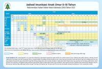 Imunisasi jadwal bayi bulan dpt vaksin usia tabel idai varicella polio diberikan beryl rekomendasi hepatitis ulfa dilanjutkan kombinasi wuri hardini Jadwal imunisasi lengkap untuk bayi