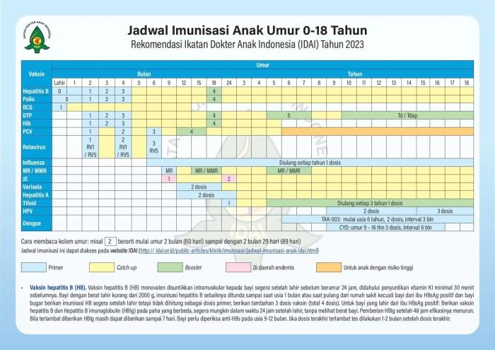 Jadwal imunisasi lengkap untuk bayi