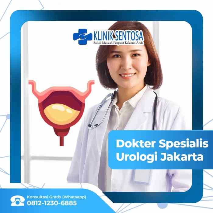 Apa Dokter Spesialis Urologi Ada di Daerah Jakarta? Jadwal Dokter Urologi RS Pro-Estetik