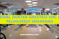 JADWAL DOKTER ANESTESI SMC RS TELOGOREJO SEMARANG