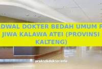 JADWAL DOKTER BEDAH UMUM RS JIWA KALAWA ATEI (PROVINSI KALTENG) JADWAL DOKTER BEDAH UMUM RS JIWA KALAWA ATEI (PROVINSI KALTENG)