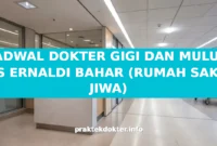 JADWAL DOKTER GIGI DAN MULUT RS ERNALDI BAHAR (RUMAH SAKIT JIWA) JADWAL DOKTER GIGI DAN MULUT RS ERNALDI BAHAR (RUMAH SAKIT JIWA)