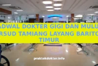JADWAL DOKTER GIGI DAN MULUT RSUD TAMIANG LAYANG BARITO TIMUR JADWAL DOKTER GIGI DAN MULUT RSUD TAMIANG LAYANG BARITO TIMUR