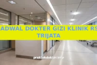 JADWAL DOKTER GIZI KLINIK RS TRIJATA JADWAL DOKTER GIZI KLINIK RS TRIJATA