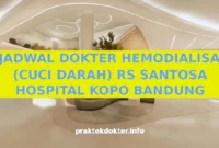 JADWAL DOKTER HEMODIALISA (CUCI DARAH) RS SANTOSA HOSPITAL KOPO BANDUNG