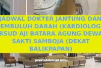 JADWAL DOKTER JANTUNG DAN PEMBULUH DARAH (KARDIOLOGI) RSUD AJI BATARA AGUNG DEWA SAKTI SAMBOJA (DEKAT BALIKPAPAN) JADWAL DOKTER JANTUNG DAN PEMBULUH DARAH (KARDIOLOGI) RSUD AJI BATARA AGUNG DEWA SAKTI SAMBOJA (DEKAT BALIKPAPAN)