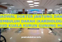 JADWAL DOKTER JANTUNG DAN PEMBULUH DARAH (KARDIOLOGI) RSUD KUALA KURUN GUNUNG MAS