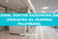 JADWAL DOKTER KESEHATAN JIWA (PSIKIATRI) RS HERMINA PALEMBANG