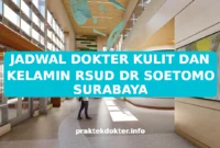 JADWAL DOKTER KULIT DAN KELAMIN RSUD DR SOETOMO SURABAYA JADWAL DOKTER KULIT DAN KELAMIN RSUD DR SOETOMO SURABAYA