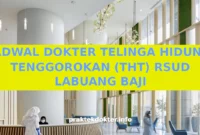 JADWAL DOKTER TELINGA HIDUNG TENGGOROKAN (THT) RSUD LABUANG BAJI JADWAL DOKTER TELINGA HIDUNG TENGGOROKAN (THT) RSUD LABUANG BAJI