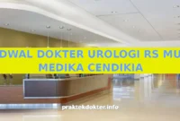 JADWAL DOKTER UROLOGI RS MUSI MEDIKA CENDIKIA JADWAL DOKTER UROLOGI RS MUSI MEDIKA CENDIKIA